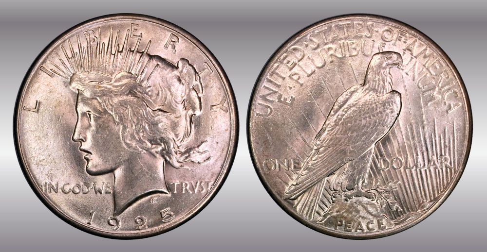 My-Raw-Peace-Dollar-Collection.-.-.-.-Warning!